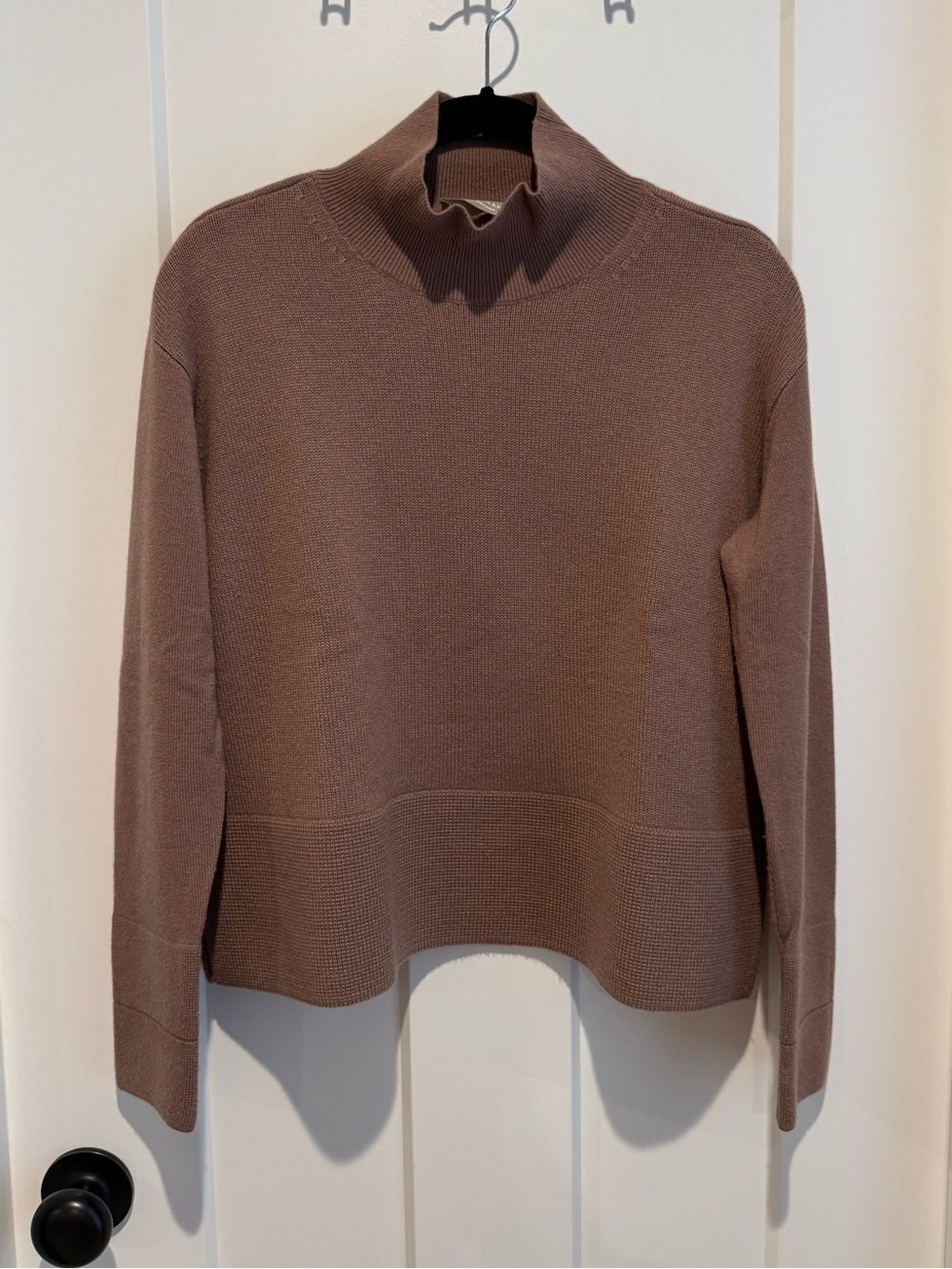 Everlane Cashmere Turtle Neck Sweater